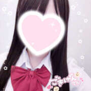 ヒメ日記 2025/06/05 11:33 投稿 こむぎ 2980円