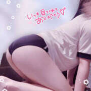 ヒメ日記 2025/06/06 22:23 投稿 こむぎ 2980円