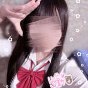 ヒメ日記 2025/06/08 13:33 投稿 こむぎ 2980円