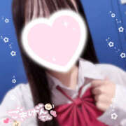 ヒメ日記 2025/09/13 15:53 投稿 こむぎ 2980円