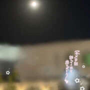 ヒメ日記 2025/10/08 20:33 投稿 こむぎ 2980円