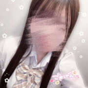 ヒメ日記 2025/11/09 14:43 投稿 こむぎ 2980円