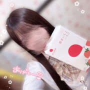 ヒメ日記 2025/11/11 14:53 投稿 こむぎ 2980円