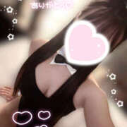 こむぎ 明日🌟 2980円