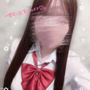 こむぎ しゅっきん！ 2980円