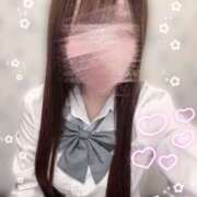 ヒメ日記 2026/04/17 17:03 投稿 こむぎ 2980円