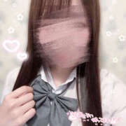 ヒメ日記 2026/04/19 17:43 投稿 こむぎ 2980円