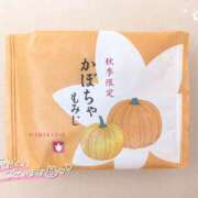 ヒメ日記 2026/10/05 14:03 投稿 こむぎ 2980円