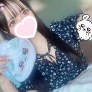 ヒメ日記 2025/04/21 06:27 投稿 かぐら Evolution 2nd