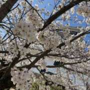 ヒメ日記 2025/03/25 15:49 投稿 みなと 和歌山人妻援護会