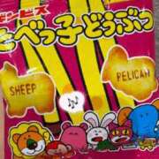 ヒメ日記 2025/09/06 15:46 投稿 みなと 和歌山人妻援護会