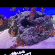 ヒメ日記 2025/09/09 12:18 投稿 みなと 和歌山人妻援護会