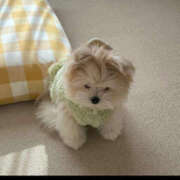 ヒメ日記 2025/11/29 23:44 投稿 みなと 和歌山人妻援護会