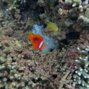 ヒメ日記 2025/03/19 11:21 投稿 れな【梅田堂山女学院】 梅田堂山女学院