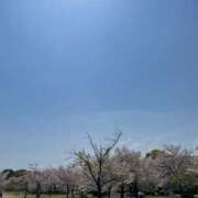 ヒメ日記 2025/04/14 11:11 投稿 れな【梅田堂山女学院】 梅田堂山女学院