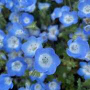 ヒメ日記 2025/05/02 11:20 投稿 れな【梅田堂山女学院】 梅田堂山女学院