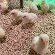 ヒメ日記 2025/09/01 11:04 投稿 れな【梅田堂山女学院】 梅田堂山女学院