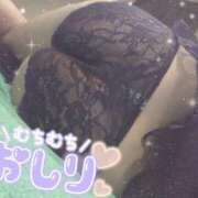 ヒメ日記 2025/03/07 07:49 投稿 星宮 はるな カサノヴァ