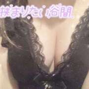 ヒメ日記 2025/03/14 17:30 投稿 星宮 はるな カサノヴァ