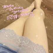 ヒメ日記 2025/03/14 19:09 投稿 星宮 はるな カサノヴァ