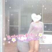 ヒメ日記 2025/03/26 12:34 投稿 星宮 はるな カサノヴァ