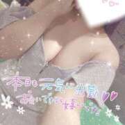 ヒメ日記 2025/04/04 10:29 投稿 星宮 はるな カサノヴァ