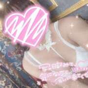 ヒメ日記 2025/04/06 07:49 投稿 星宮 はるな カサノヴァ