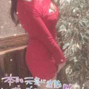 ヒメ日記 2025/06/01 10:29 投稿 星宮 はるな カサノヴァ