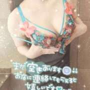 ヒメ日記 2025/09/09 08:49 投稿 星宮 はるな カサノヴァ