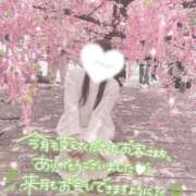 ヒメ日記 2025/10/30 17:29 投稿 星宮 はるな カサノヴァ