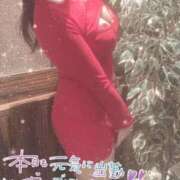 ヒメ日記 2025/11/04 10:29 投稿 星宮 はるな カサノヴァ