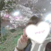 ヒメ日記 2026/04/02 21:19 投稿 星宮 はるな カサノヴァ