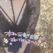 ヒメ日記 2026/04/07 12:29 投稿 星宮 はるな カサノヴァ