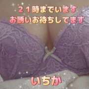 ヒメ日記 2025/02/24 18:34 投稿 いちか モアグループ春日部人妻城