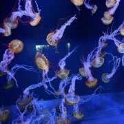 ヒメ日記 2025/03/03 16:13 投稿 のの 東京エンジェルライン 立川店