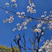 ヒメ日記 2025/04/09 10:07 投稿 山下 あなたに逢いたくて