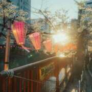 ヒメ日記 2026/04/03 22:57 投稿 山下 あなたに逢いたくて