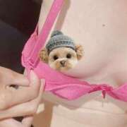 ヒメ日記 2025/06/17 13:58 投稿 れいな 奥様さくら日本橋店