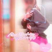 ヒメ日記 2025/06/21 13:11 投稿 れいな 奥様さくら日本橋店