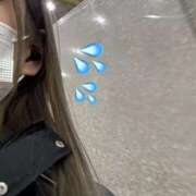 ヒメ日記 2025/12/24 16:16 投稿 れいな 奥様さくら日本橋店