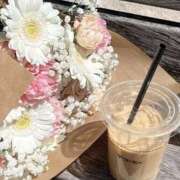 ヒメ日記 2026/01/16 09:56 投稿 れいな 奥様さくら日本橋店