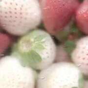 ヒメ日記 2026/01/20 10:26 投稿 れいな 奥様さくら日本橋店