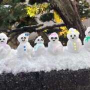 ヒメ日記 2026/02/10 12:08 投稿 れいな 奥様さくら日本橋店