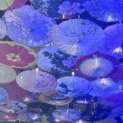 ヒメ日記 2026/03/09 08:26 投稿 れいな 奥様さくら日本橋店