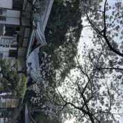 ヒメ日記 2026/04/04 12:06 投稿 れいな 奥様さくら日本橋店