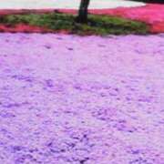 ヒメ日記 2026/02/11 10:16 投稿 のりこ 佐賀人妻デリヘル 「デリ夫人」