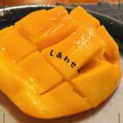 ヒメ日記 2025/08/27 15:36 投稿 とうか 東京人妻セレブリティ（ユメオト）