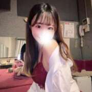 ヒメ日記 2025/04/22 18:25 投稿 ミナセ きらめけ！にゃんにゃん学園in大宮