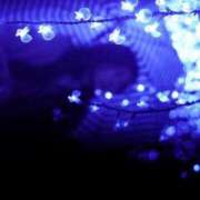 ヒメ日記 2025/08/13 08:47 投稿 れい Grace東京