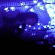 ヒメ日記 2025/09/21 20:17 投稿 れい Grace東京